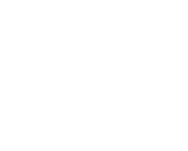 logo-banner-2